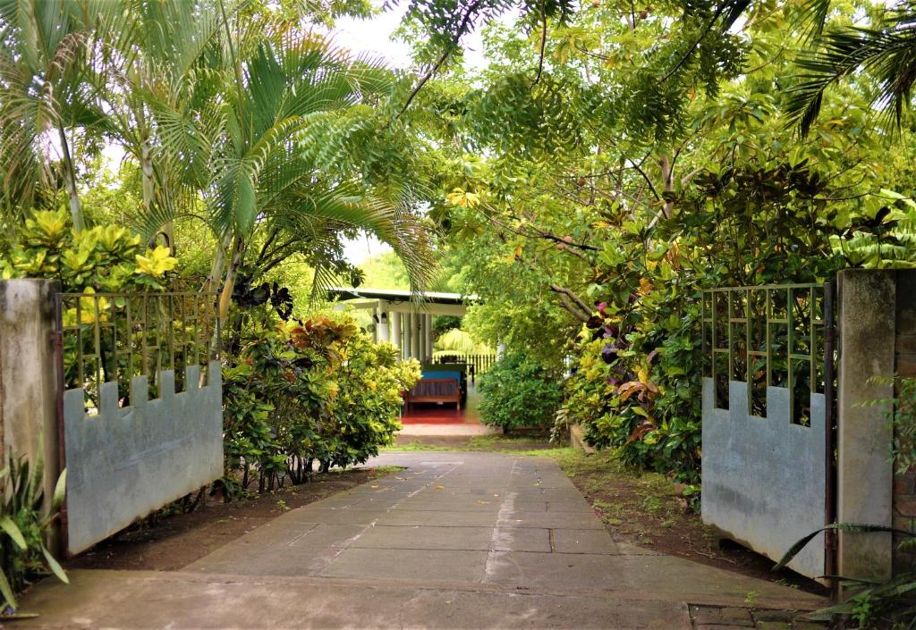 Hospedaje Soma Ometepe Hotel photo 1