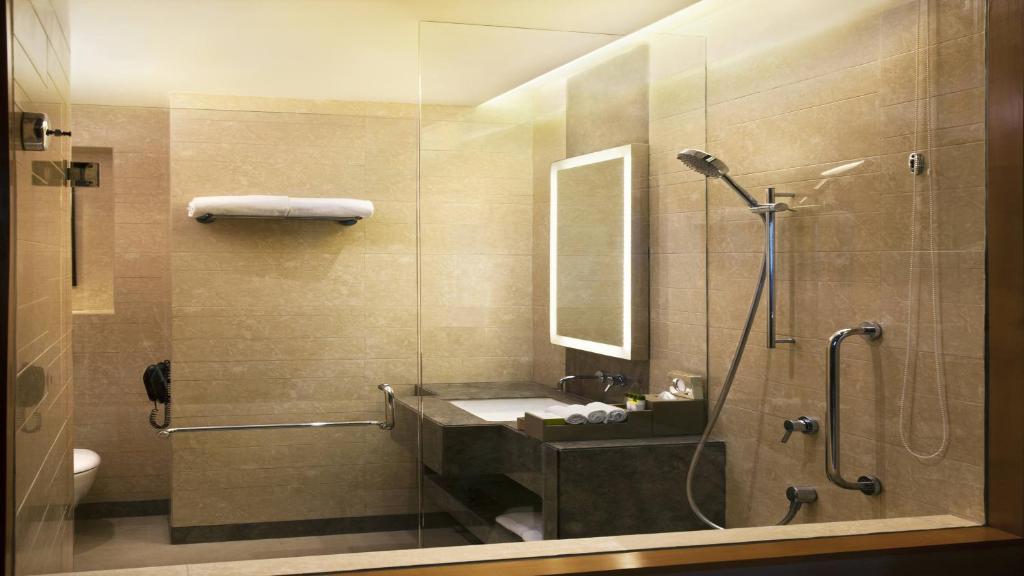 Двухместный (Same Day Use Room 10AM to 6PM), Holiday Inn New Delhi Mayur Vihar Noida