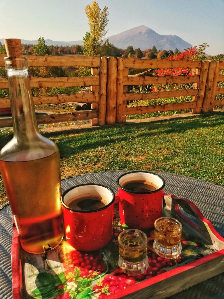 Rtanjski konak photo 1