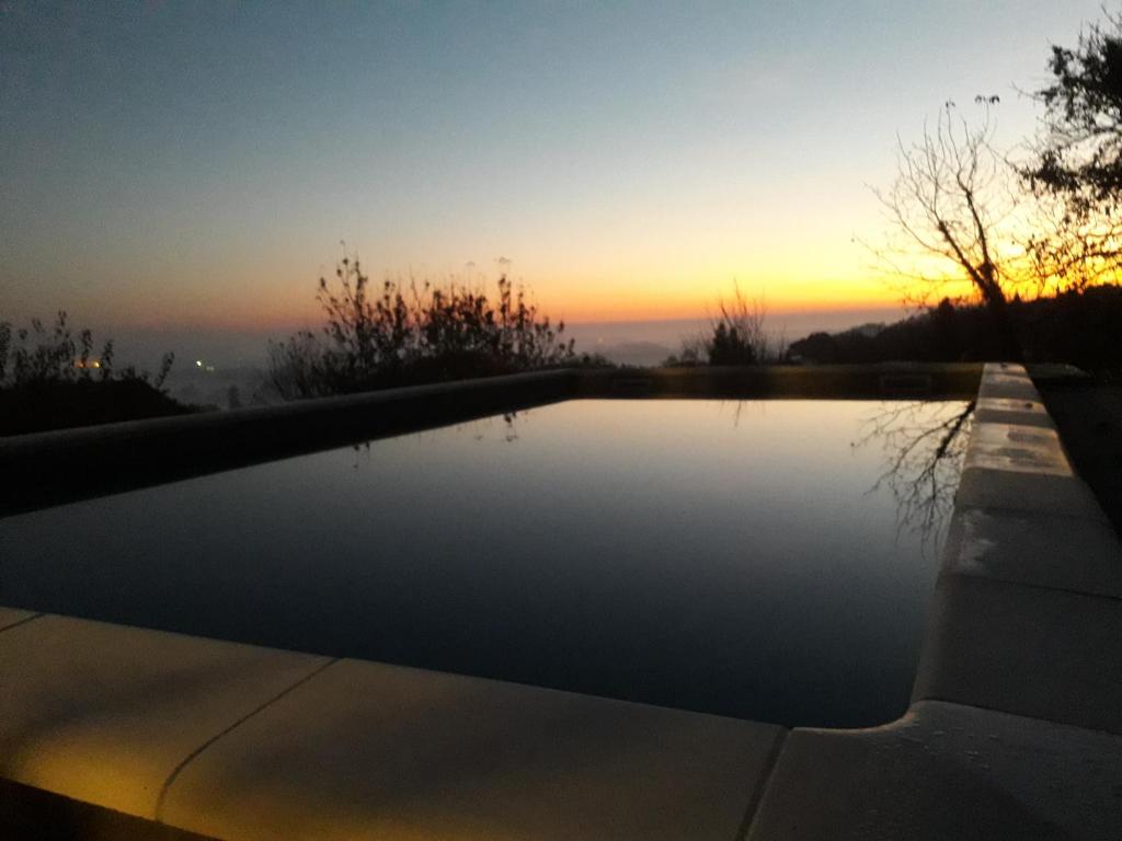 Iva's Place photo 3