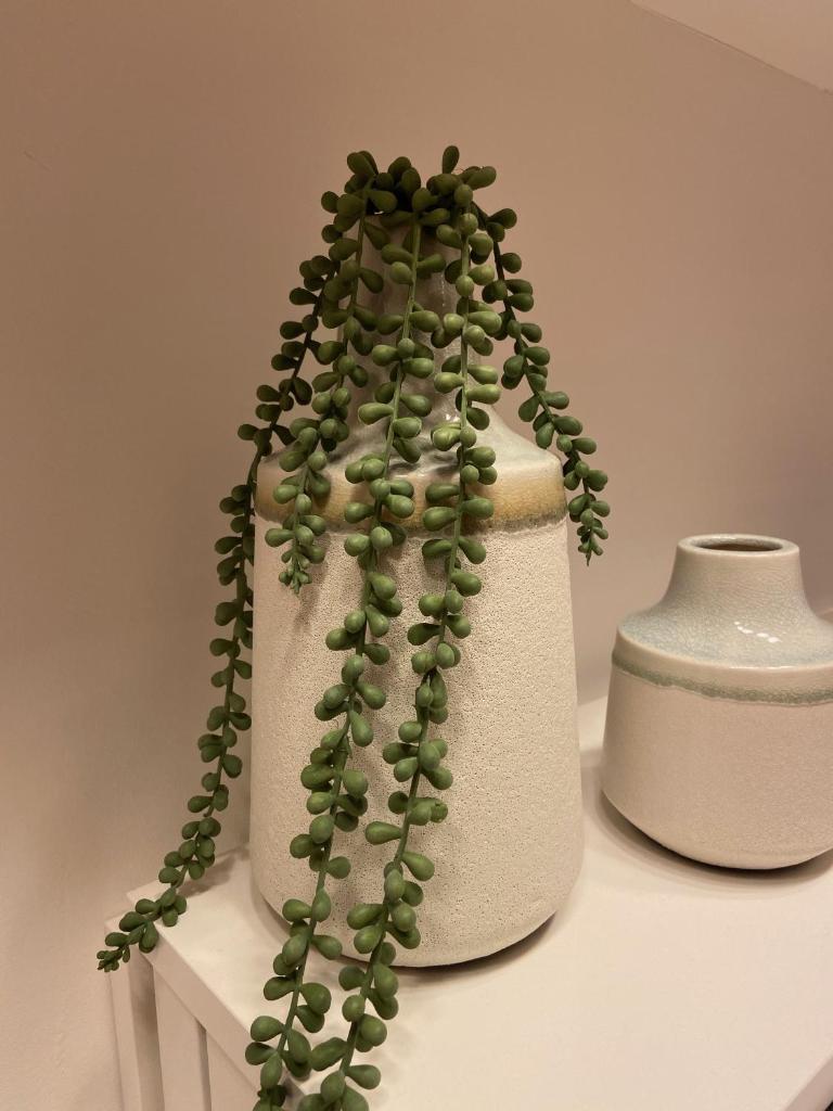 Le Mouton à 5 Pattes Aubagne-Cassis-Aix en Provence (Le Mouton a 5 Pattes Aubagne-Cassis-Aix en Provence) - 시설