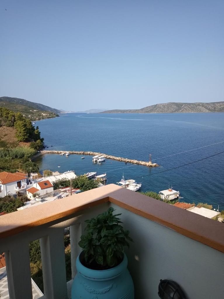 Agnanti Hotel photo 1