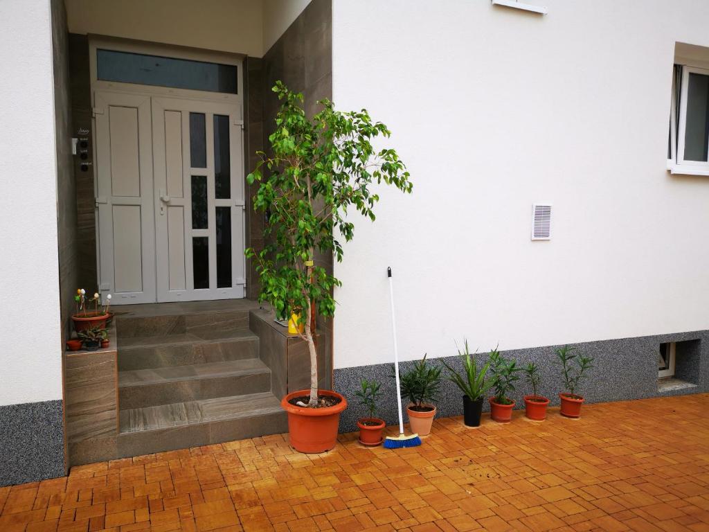 Apartmány za sakurou photo 4