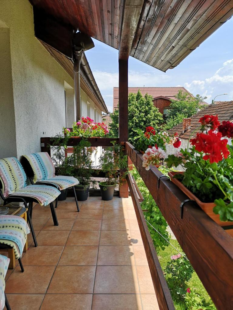 Casa Mais photo 2