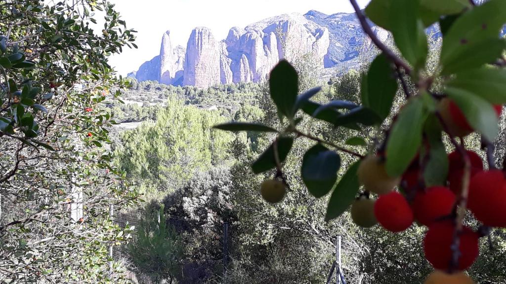 Despertar en Riglos photo 3