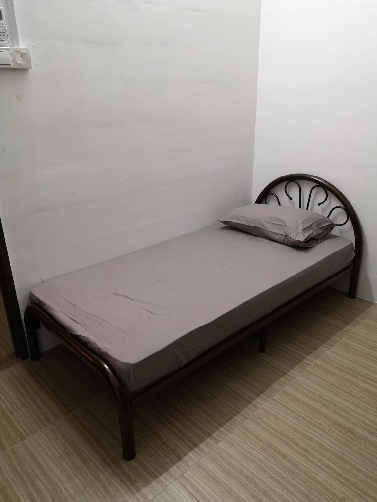 Homey Hostel photo 2