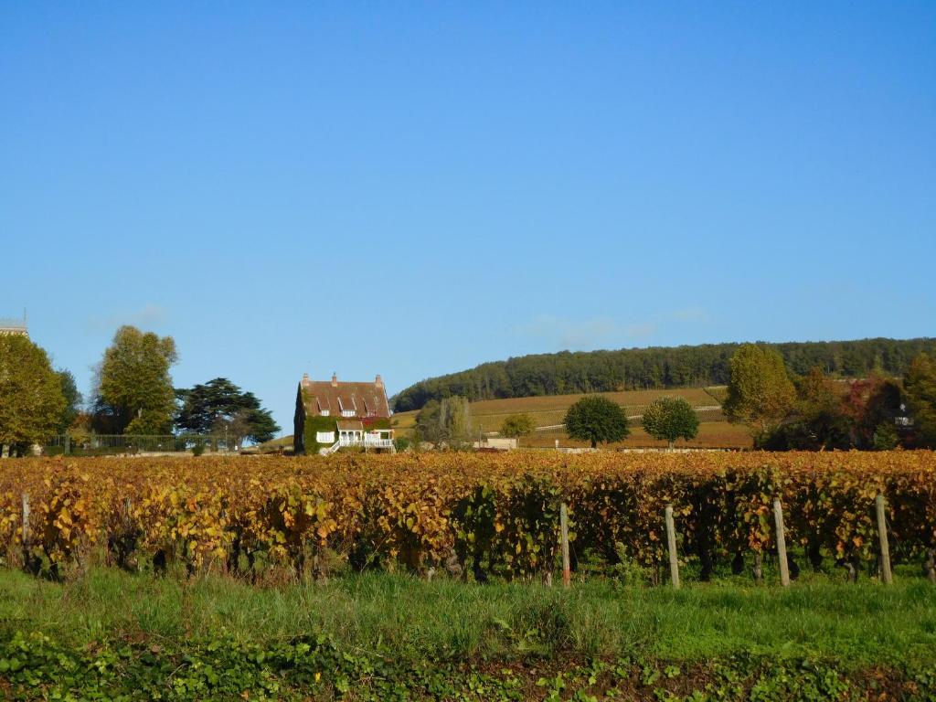 La Passerelle des Corton B&B photo 2