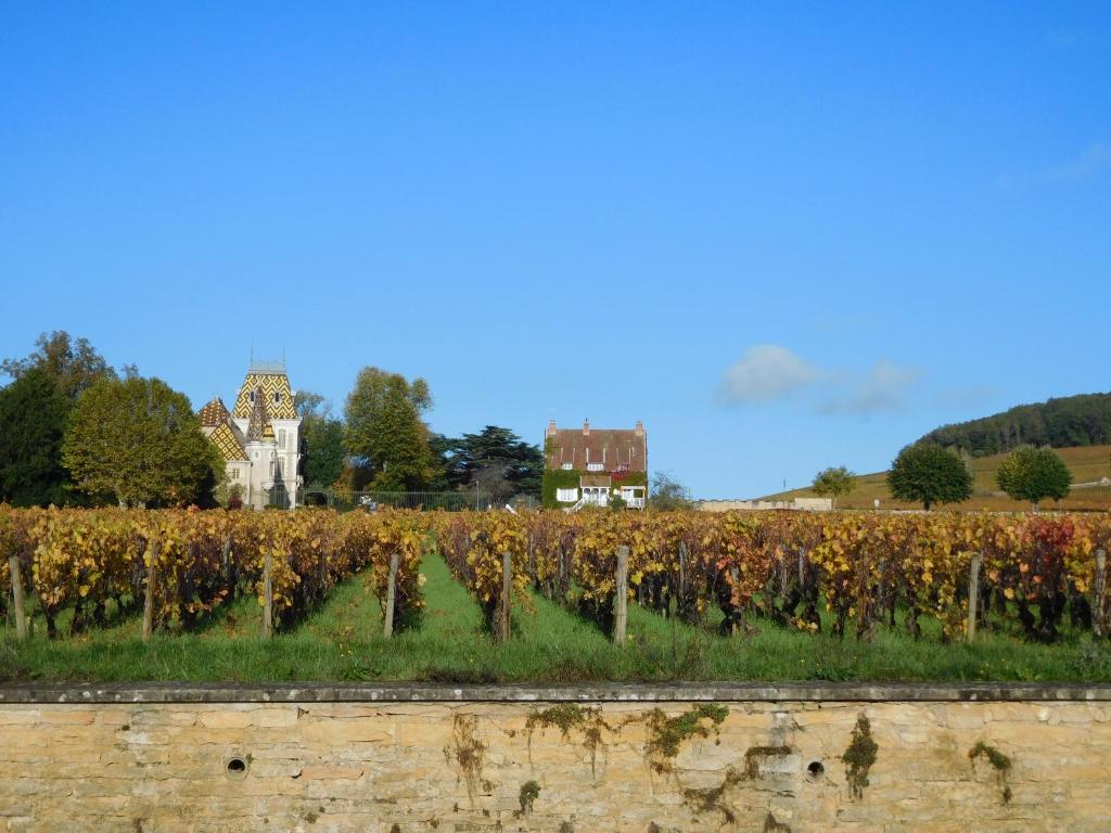 La Passerelle des Corton B&B photo 1