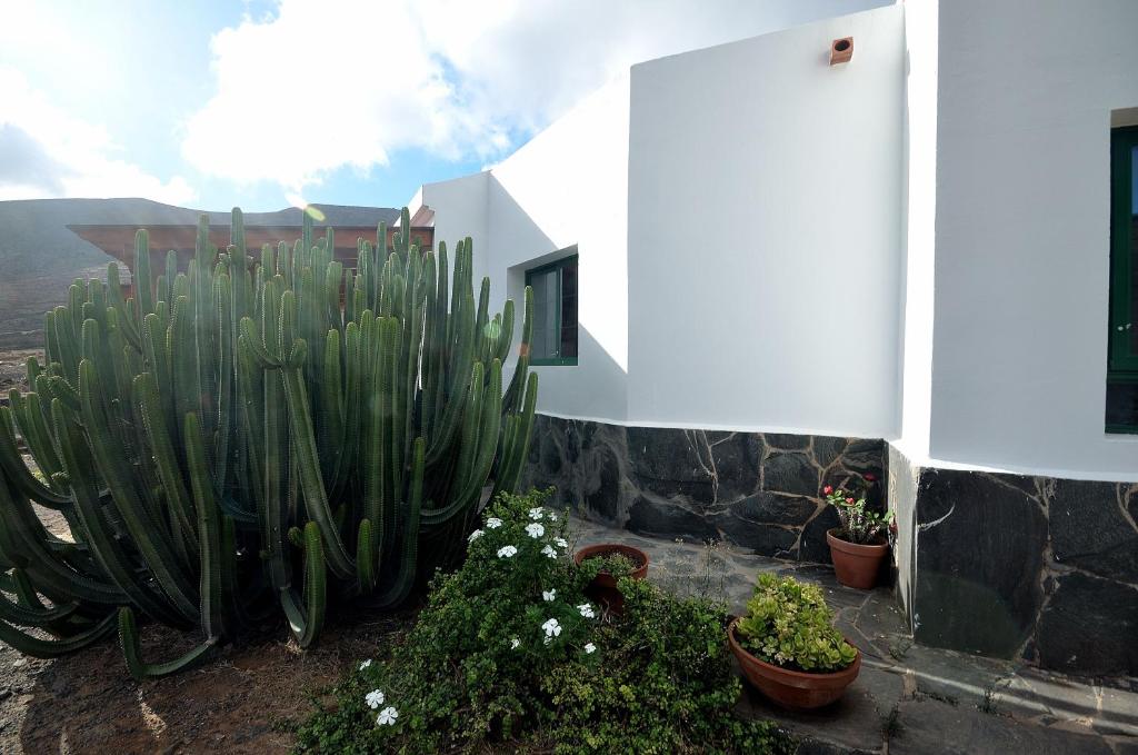 Casa Caballería photo 4
