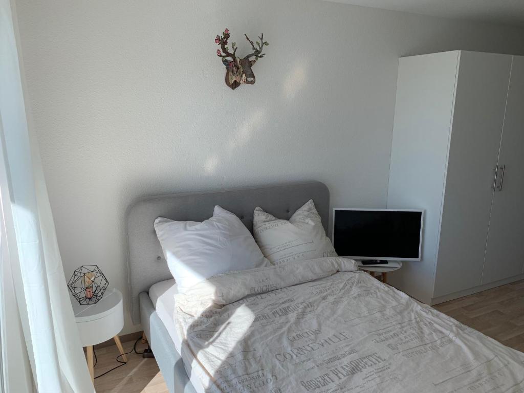1-Zi. Apartment, Echterdingen bei Flughafen/Messe Stgt. photo 1