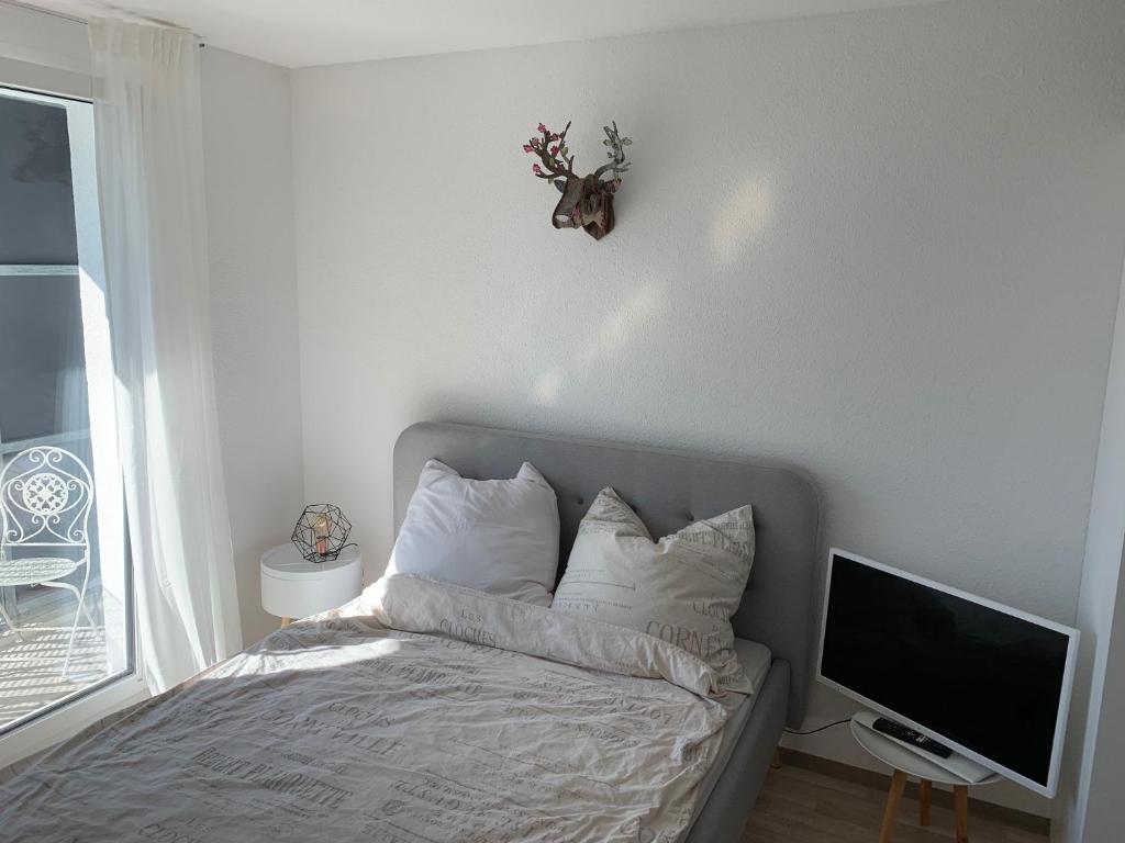 1-Zi. Apartment, Echterdingen bei Flughafen/Messe Stgt. photo 2