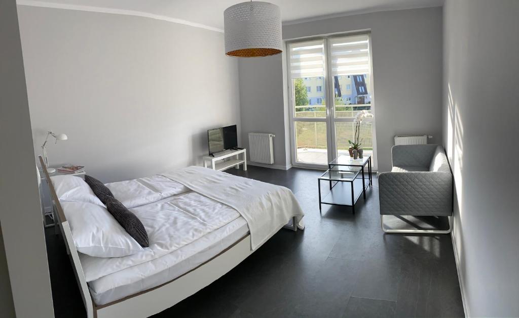 APARTAMENT ŚMIAŁEGO 9 photo 1