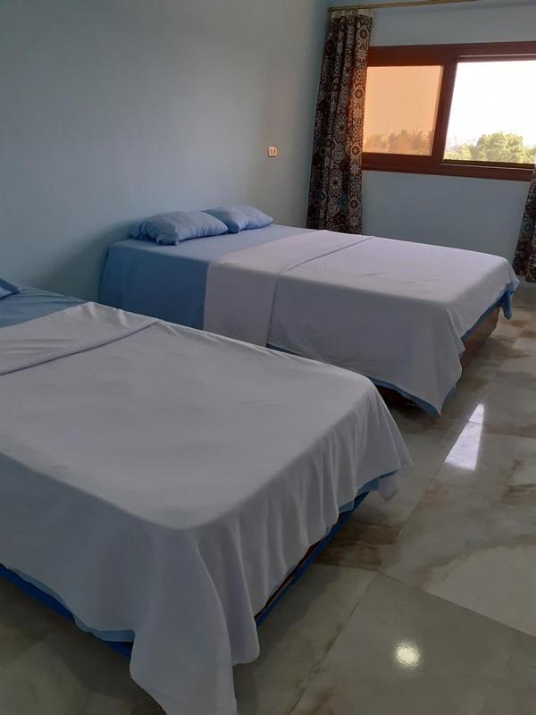 Двухместный (Двухместный номер Делюкс с 1 кроватью и видом на море), Nile Youth Hostel