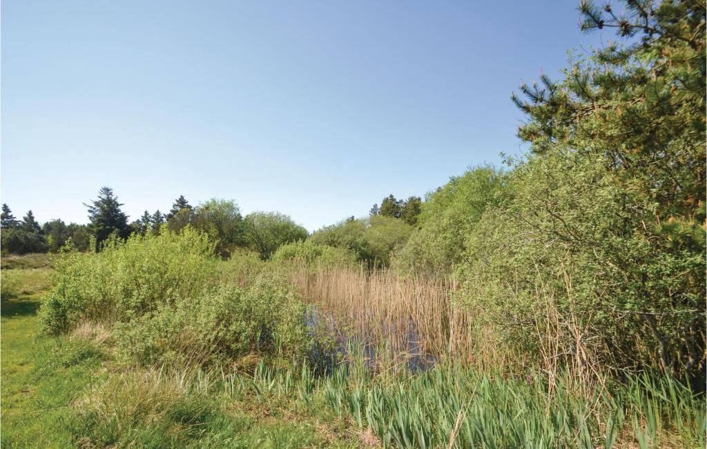 Beautiful Home In Frstrup With 3 Bedrooms And Wifi photo 1