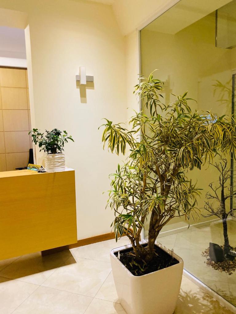 Grand White City Hotel photo 3
