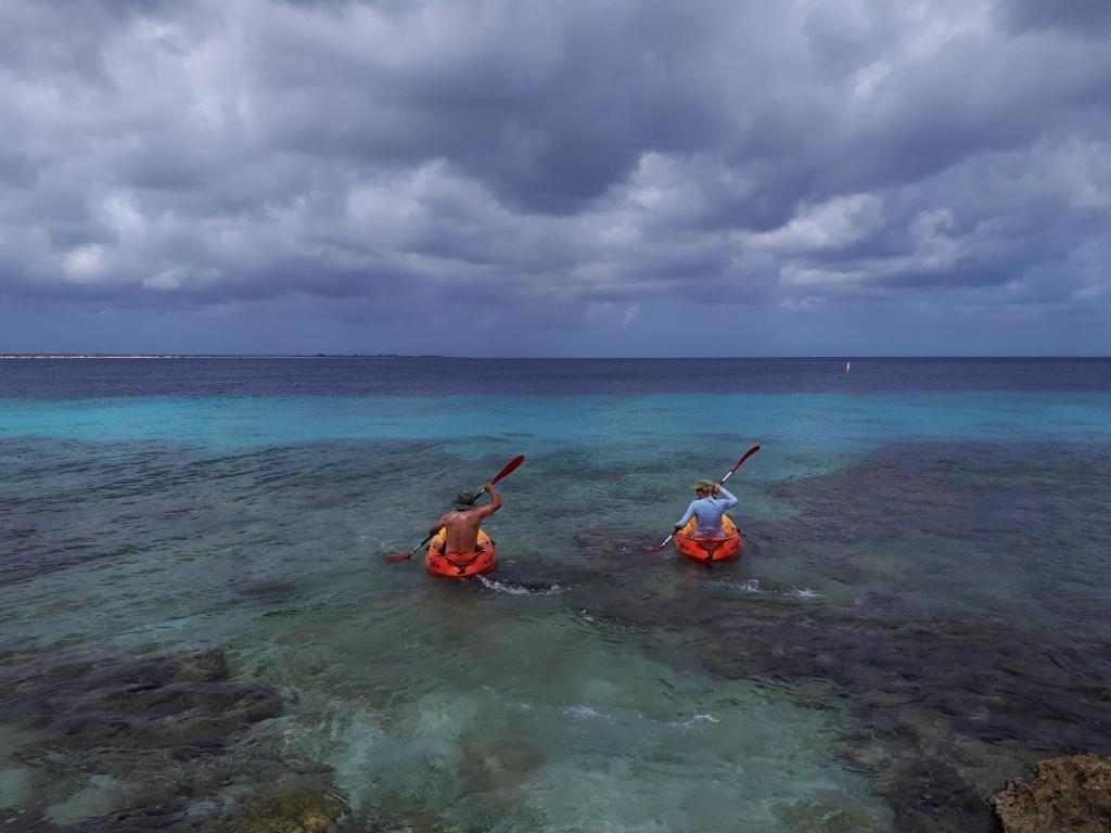 One Ocean Boutique Apartments & Suites Bonaire photo 1