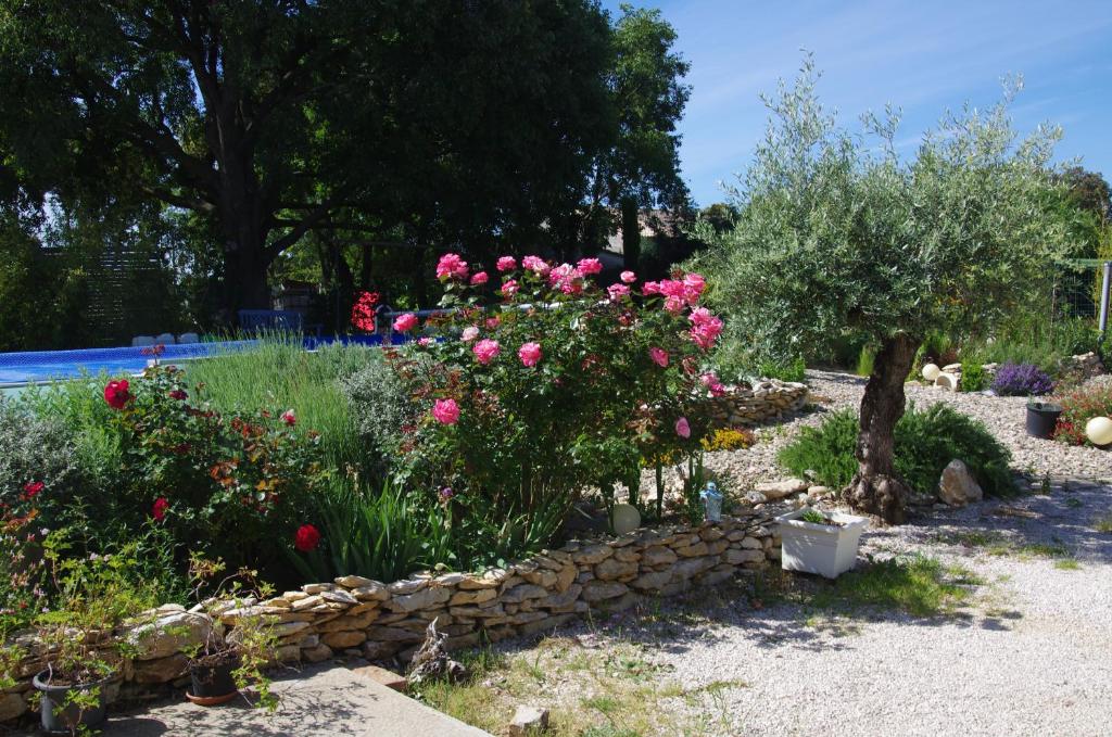Cévennes / Méditerranée photo 3