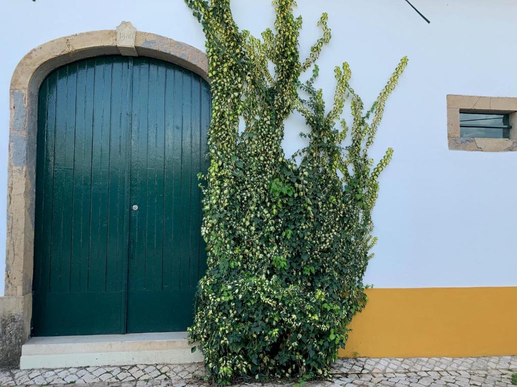 Quinta Ribeira do Labrador - Lisbon West Wine Route photo 4