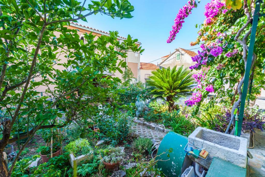 Green garden Rooms & Apartments photo 3