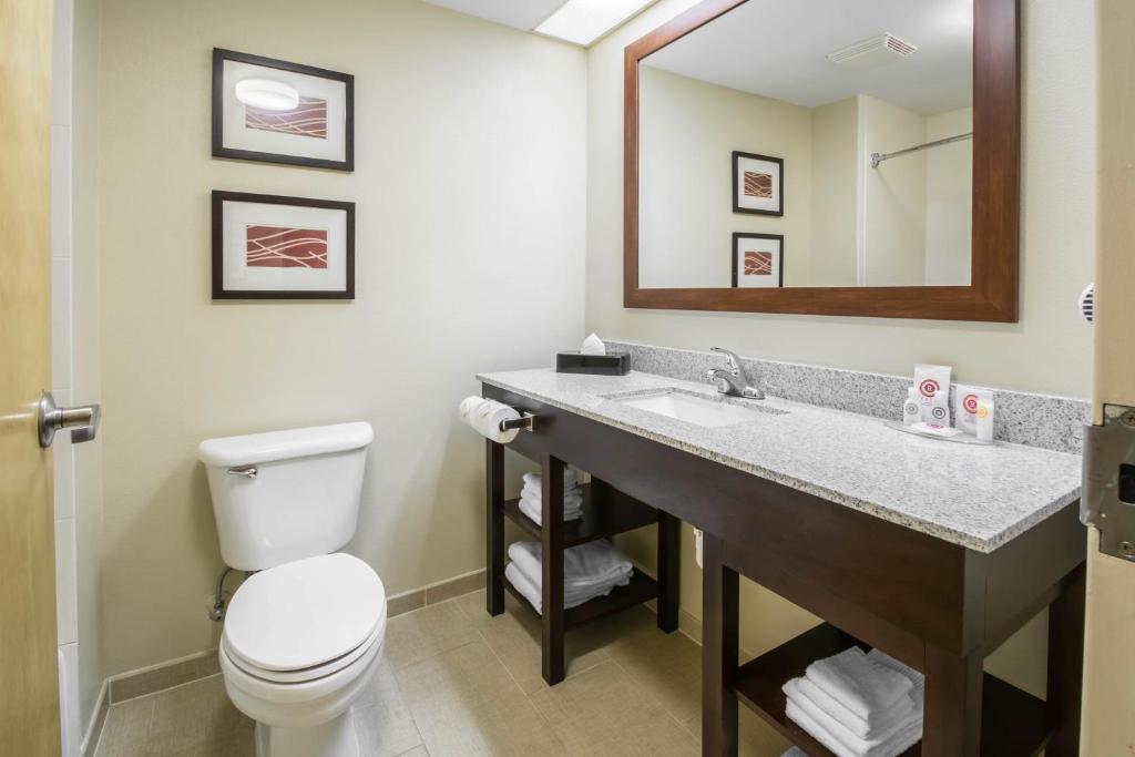 Comfort Inn & Suites DeLand - near University photo 4