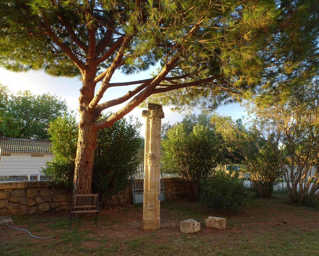 Domaine du Petit Tournebelle photo 3