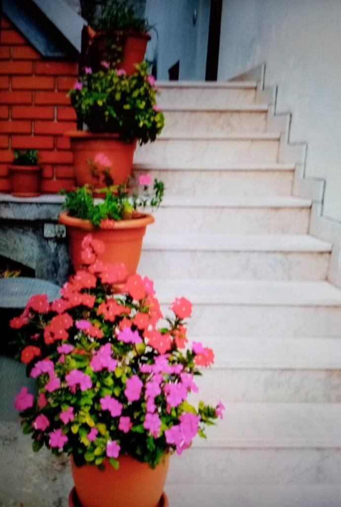 Apartments Cvita photo 2