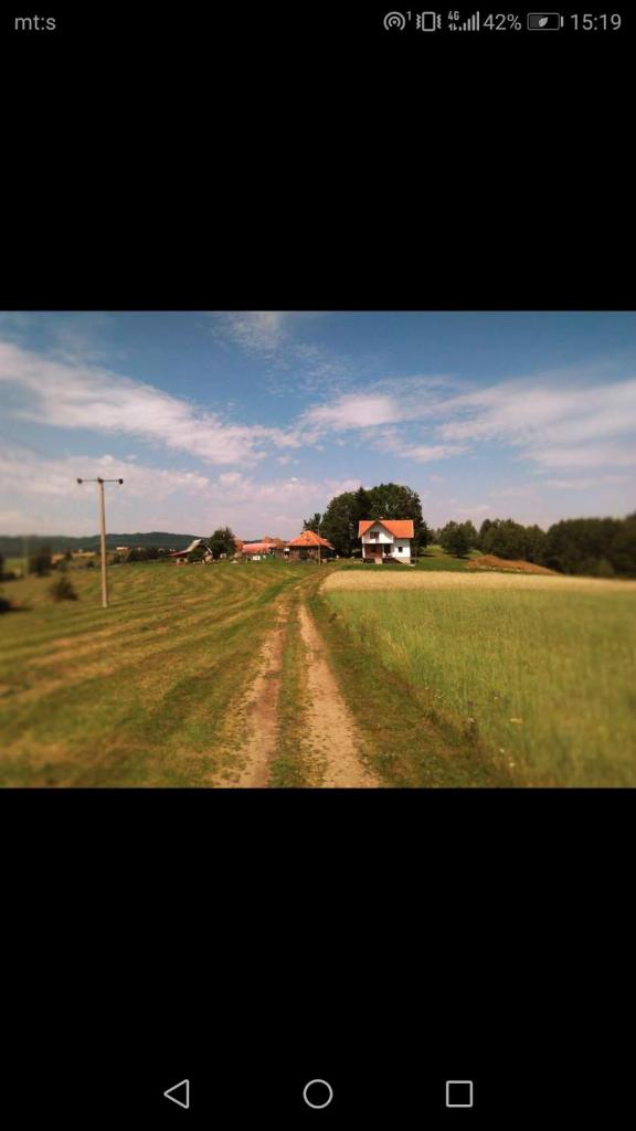 Apartman JELA Jabuka