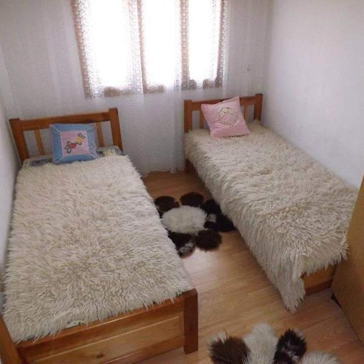 Apartman JELA Jabuka photo 4
