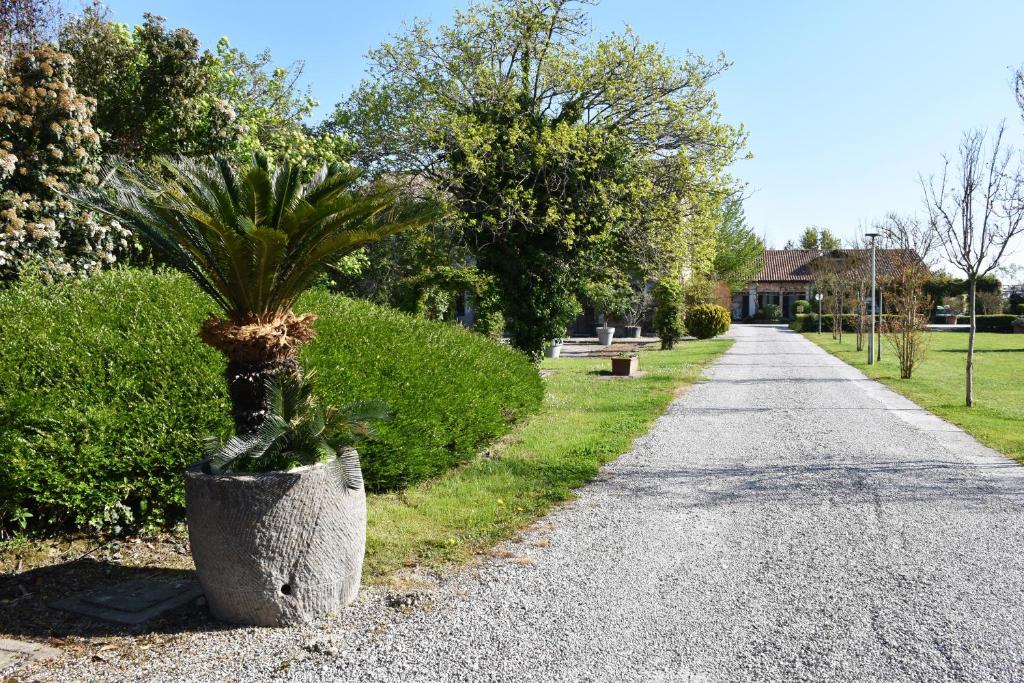 Venicegreen Agriresort photo 4