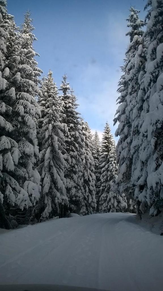 Planinska kuća MAK photo 1