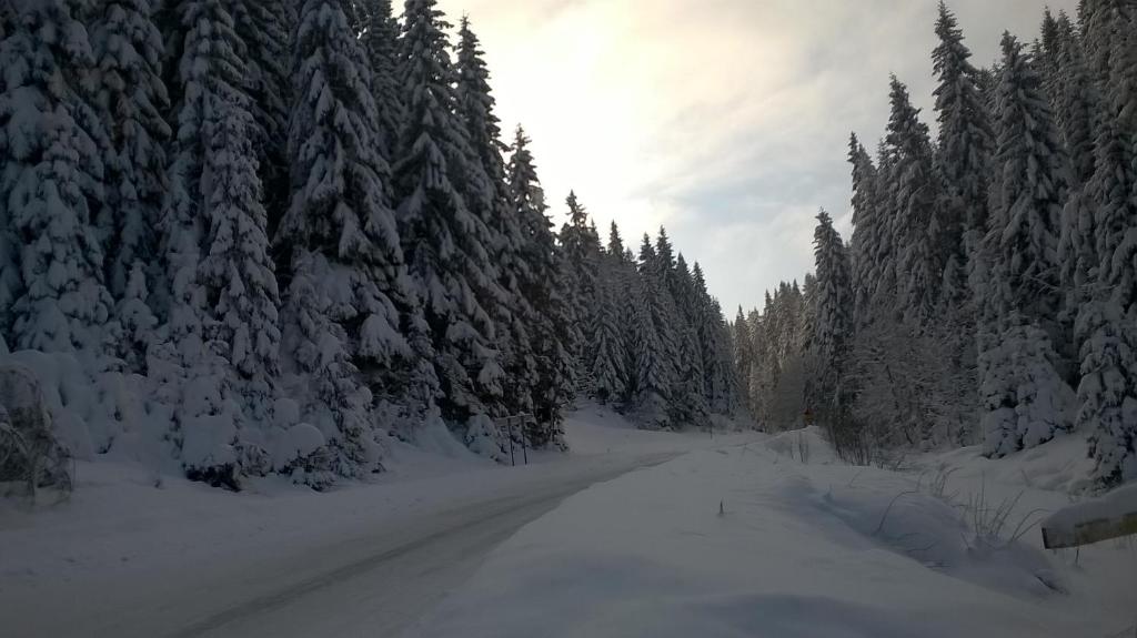 Planinska kuća MAK photo 2