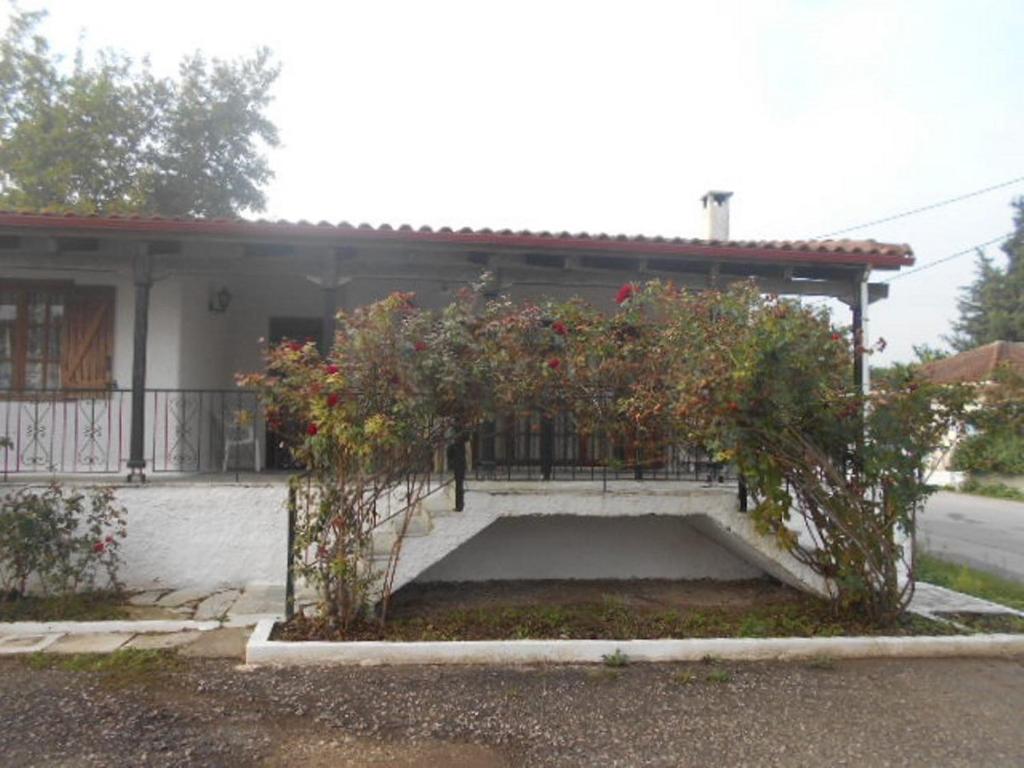 Next to the Aliartos Gardens photo 2