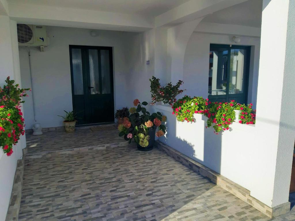 Guesthouse Raffaello photo 4