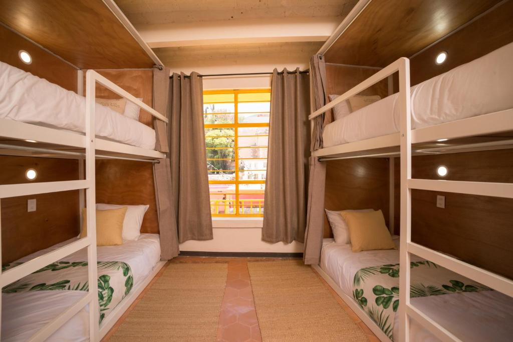 Cactus Hostel & Suites photo 4