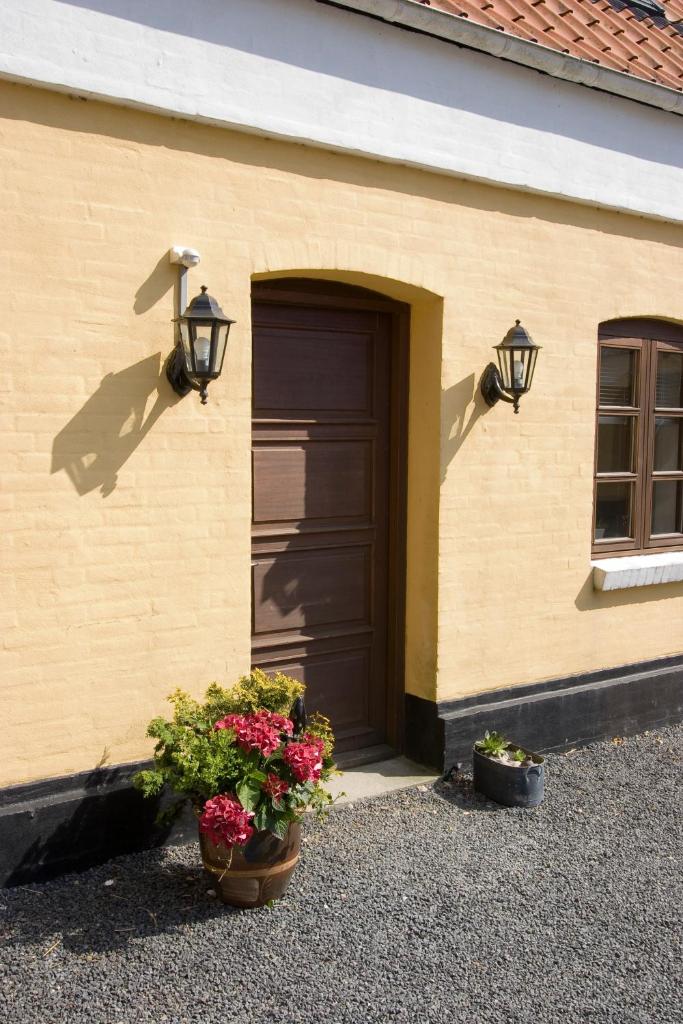 Munkebjerg Bed & Breakfast photo 1
