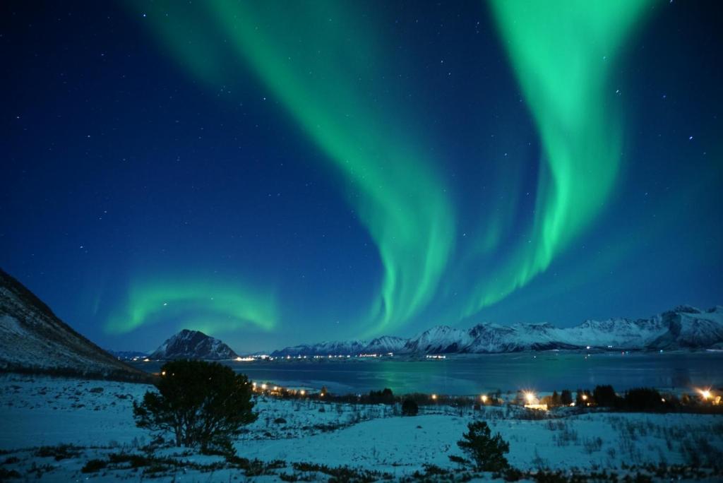 Lofoten Hiking Lodge photo 3