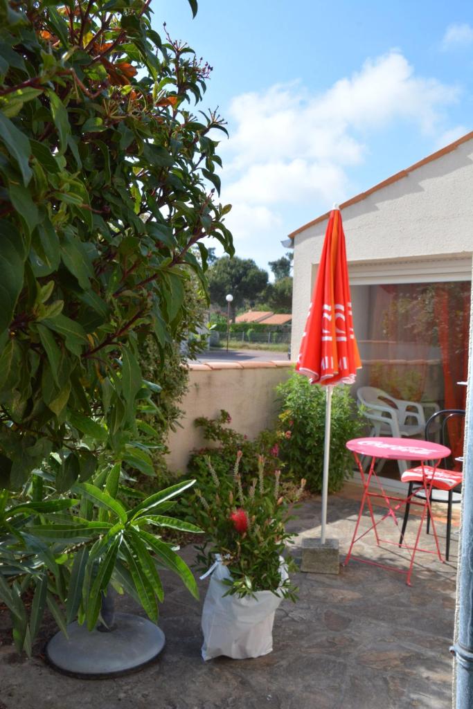 Pavillon des Loritz photo 4