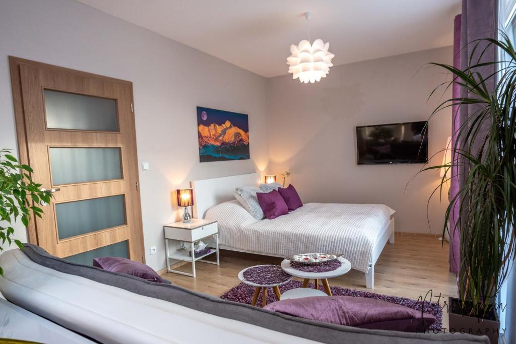 Luxurious, lovely and romantic apartment in Tabor photo 3