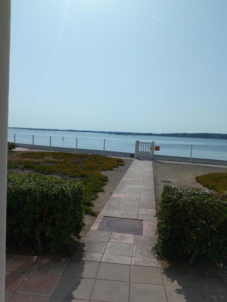 T3 VUE ETANG - Thumbnail image