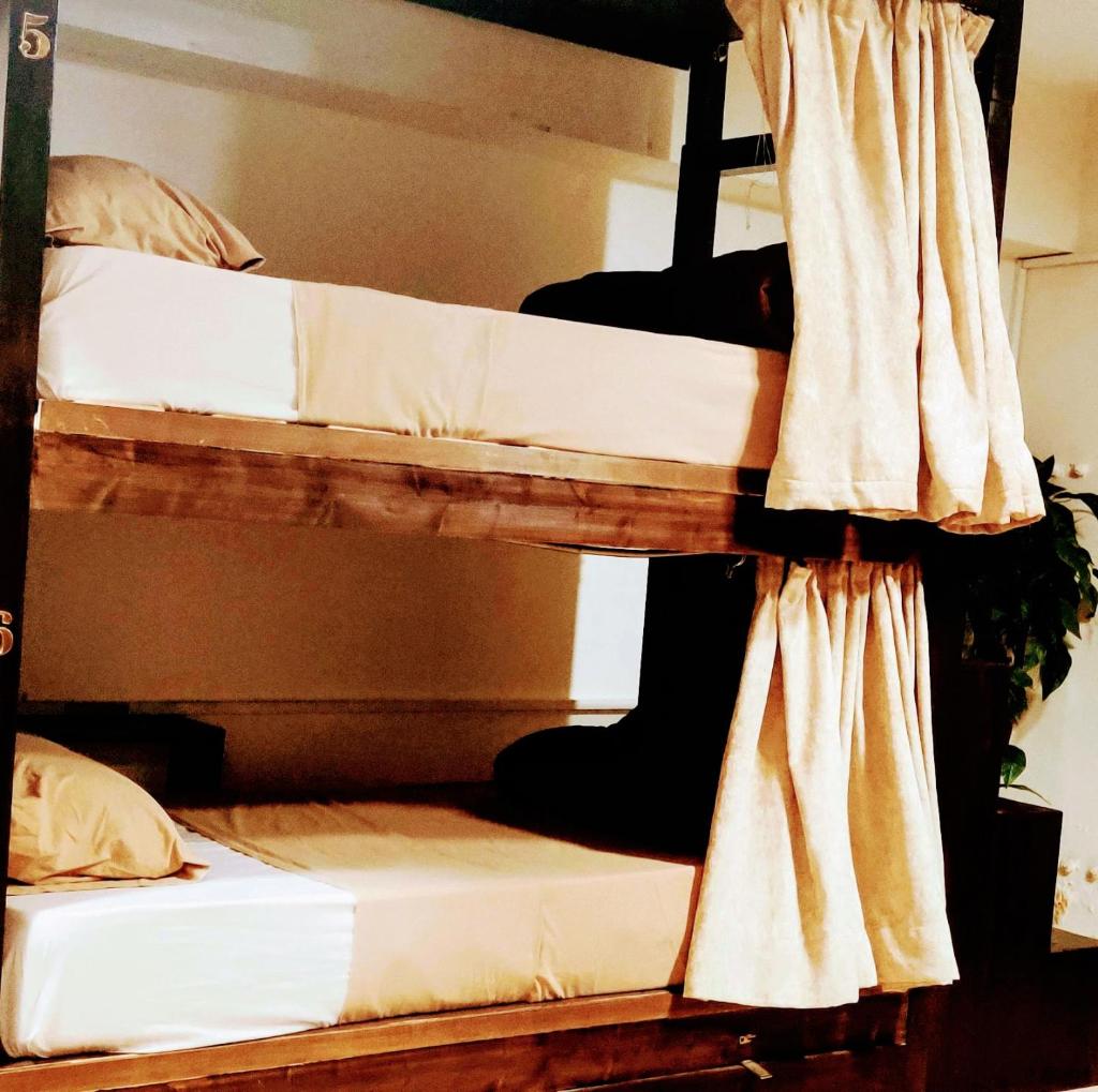 Номер (Bed in 6-Bed Dormitory Room (Non Egyptian- Non Arab)), Isis Hostel 1