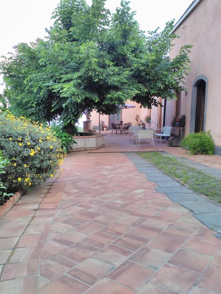La corte di Bafè B&B "Slow Life" photo 2