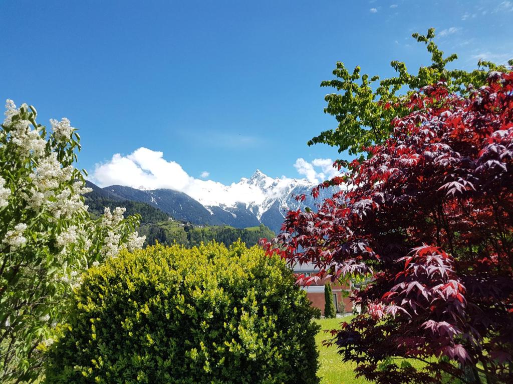 Haus Alpenglühn photo 3