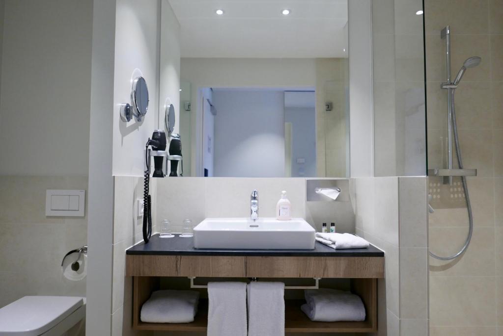 Двухместный (Двухместный номер с 1 кроватью), Rafaela Hotel Heidelberg