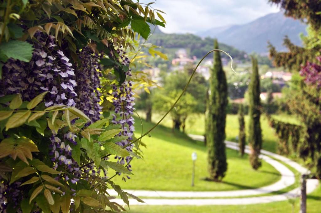 Casa vacanze Il Noce photo 4