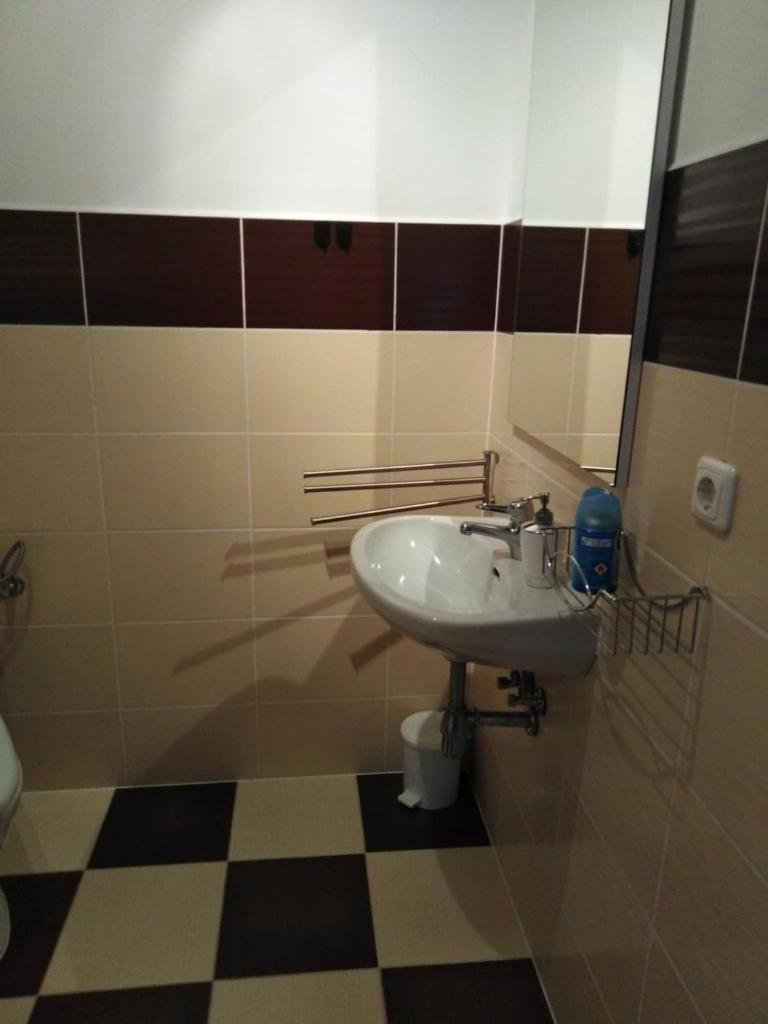 POLANA photo 1