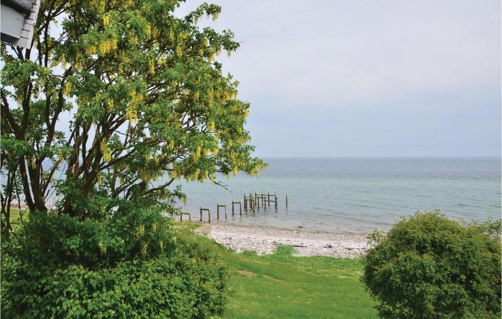 Beautiful Home In Nyborg With 2 Bedrooms And Wifi photo 1