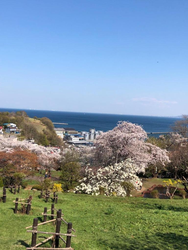 Guest House Asahi photo 3