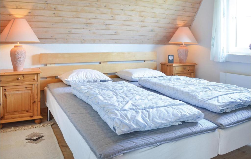 Beautiful Home In Skjern With 3 Bedrooms, Sauna And Wifi photo 3