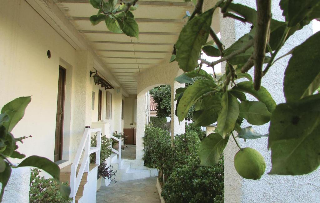 Amazing Apartment In Bastia With 1 Bedrooms And Wifi