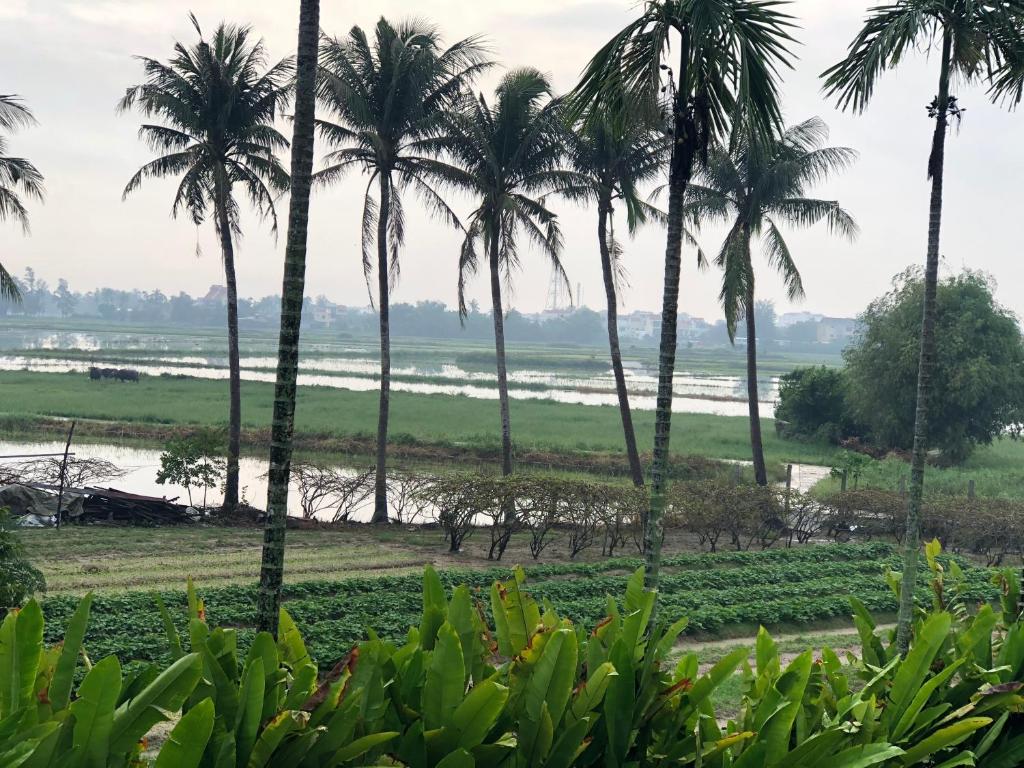 Lavini Hoi An Boutique Villa